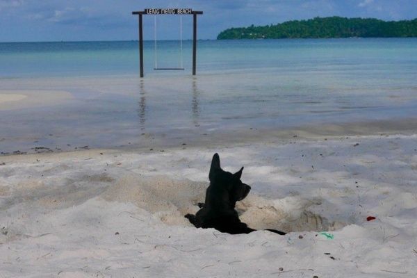 Koh Rong Samloem