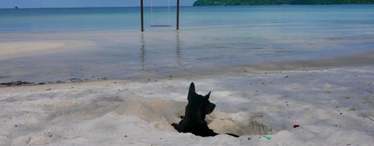 Koh Rong Samloem